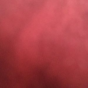 Meet your Posher, Rose